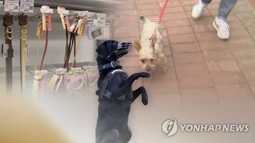  개주인 징역8개월 집행유예 개 목줄 안채웠다 지적 행인 폭행 욕설