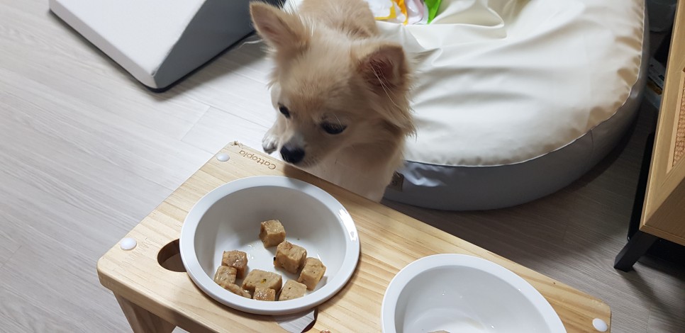 [강아지간식]허닭x핏펫몰 꼬꼬가슴살 맛있는 냄새로 13
