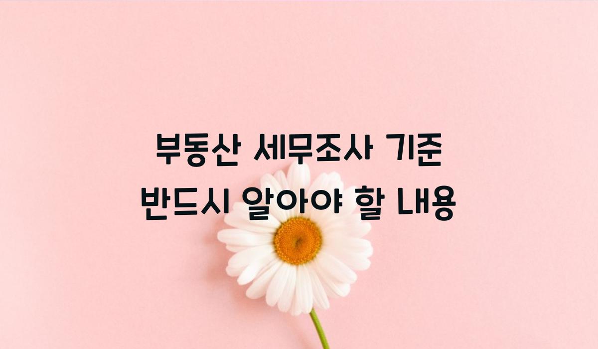 부동산 세무조사 기준