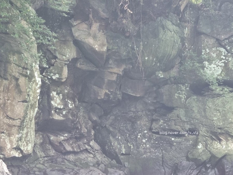 함께라면 전통테우 탑승 후기 제주 쇠소깍 어린 아이들과 20