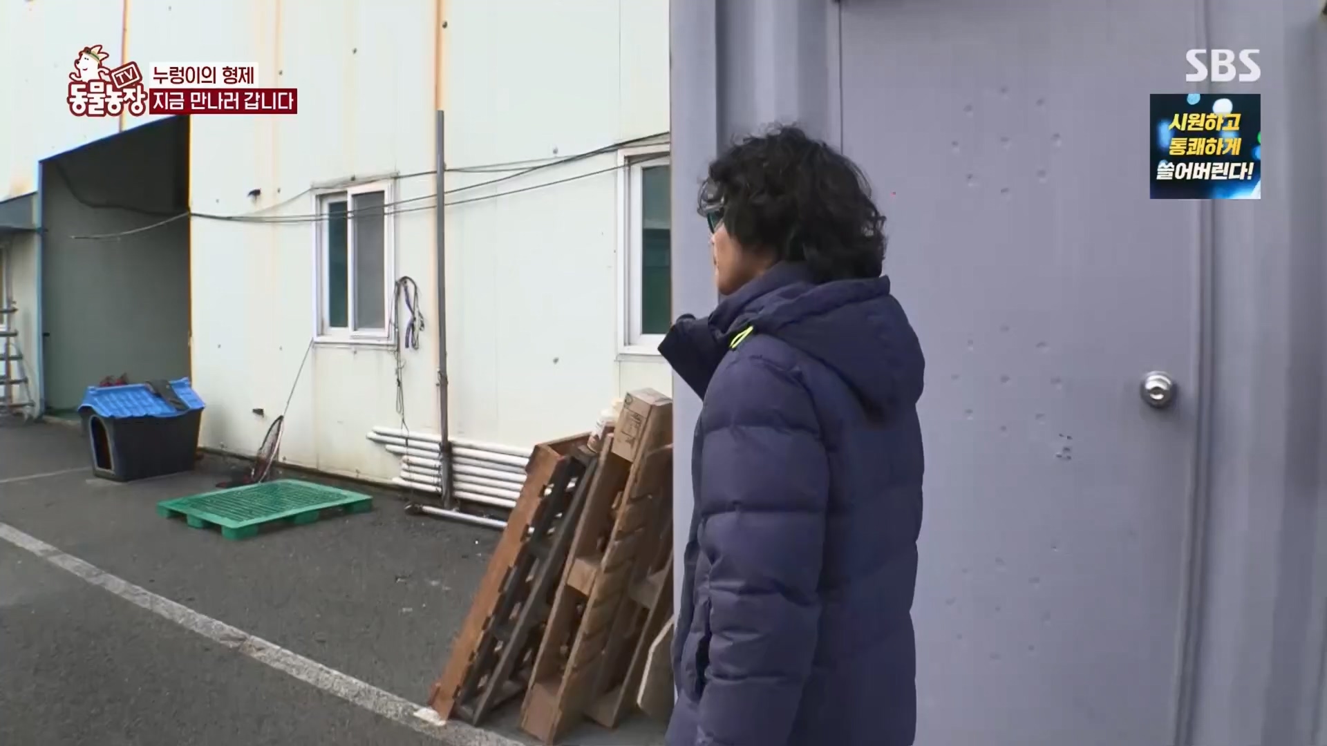 TV 동물농장.E1158.240211p.H264-F1RST.mp4_20240211_194050.663.jpg