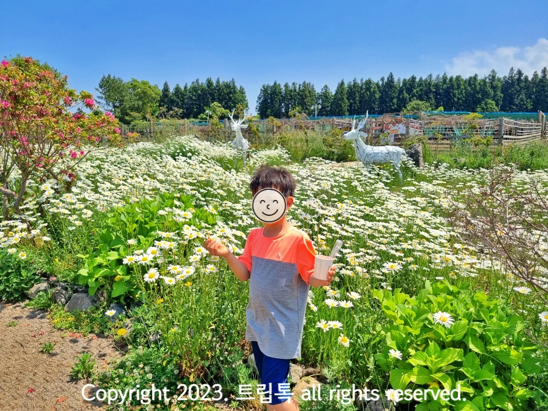 하얀 꽃과 흰꽃사슴 모형을 배경으로 사진찍는 아이