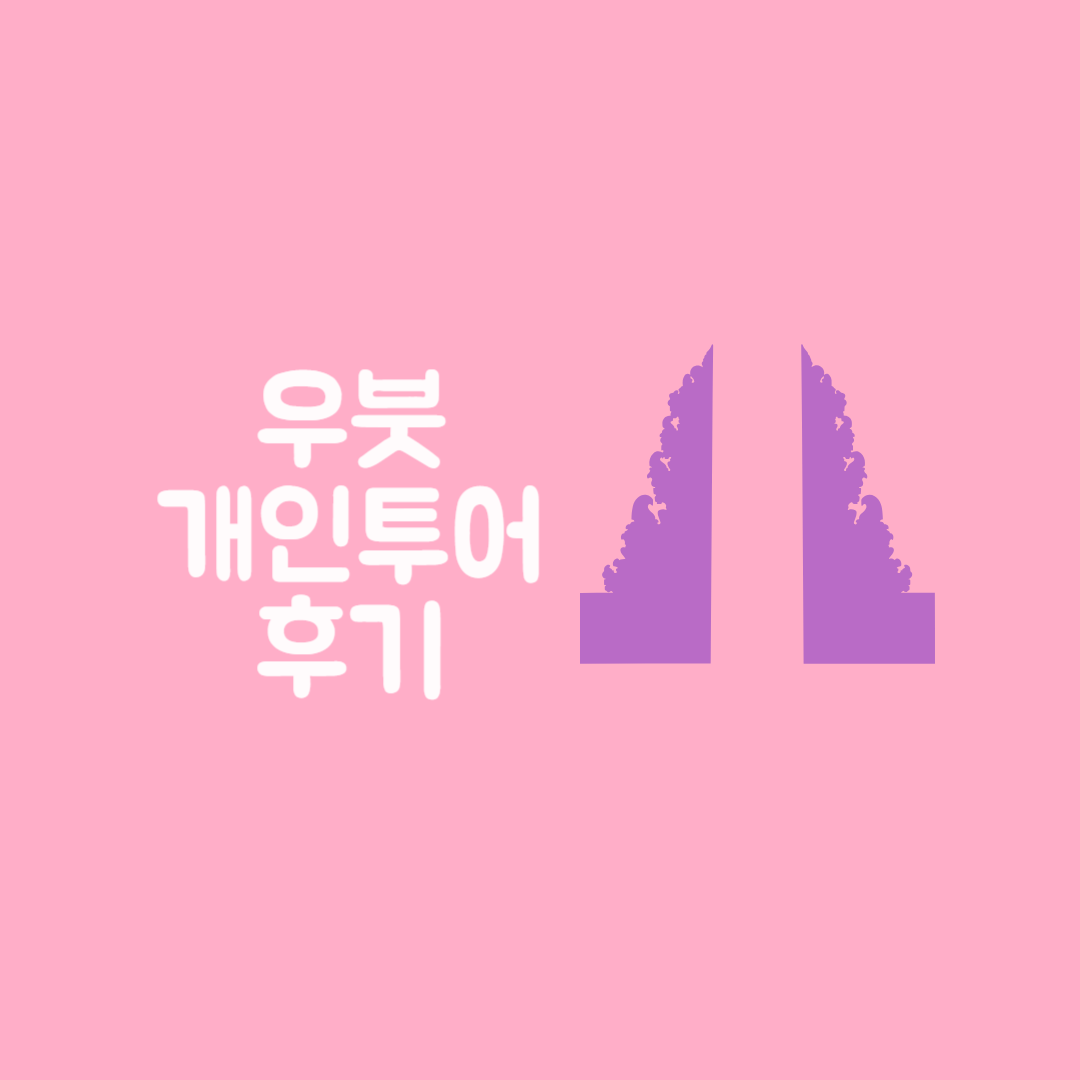 우붓 개인투어 일정 후기 내돈내산 클룩 자유여행