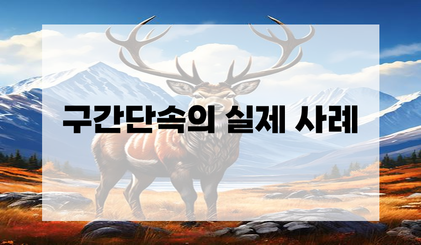 구간단속의 실제 사례