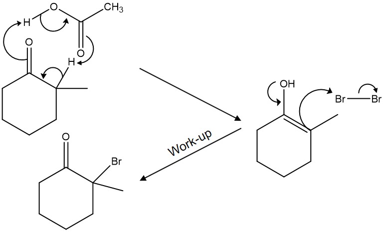 acid-catalyzed bromination of ketone