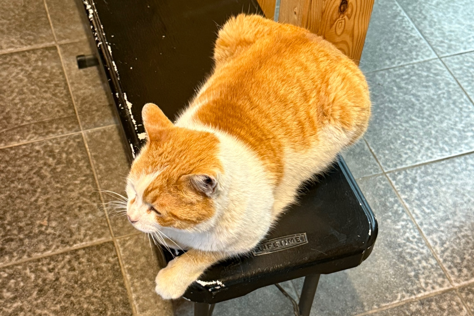 이루다제면소 이미지