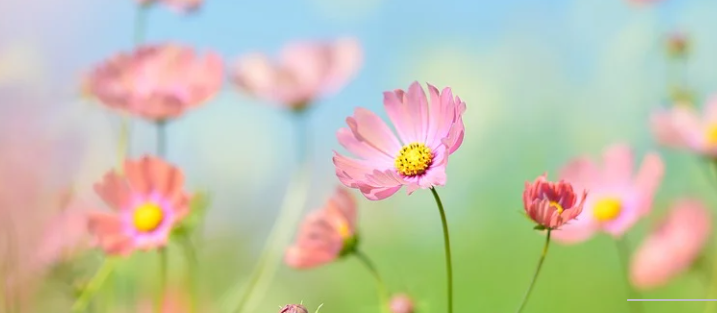  코로나 신규확진이155명으로 최다
