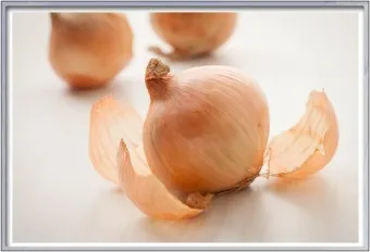양파껍질 차 효능 영양성분_26