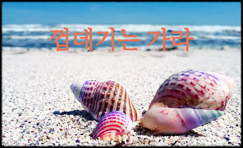  [시 감상]신동엽 - 껍데기는 가라