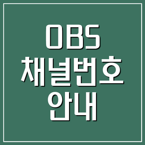 OBS 채널번호 안내