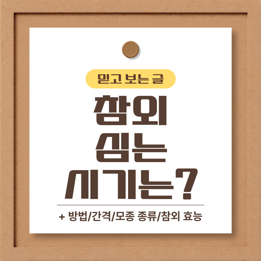  참외 심는 시기는