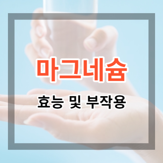  마그네슘 효능 및 부작용 에너지와 우울감 해소를 위한 정보 알아보기.