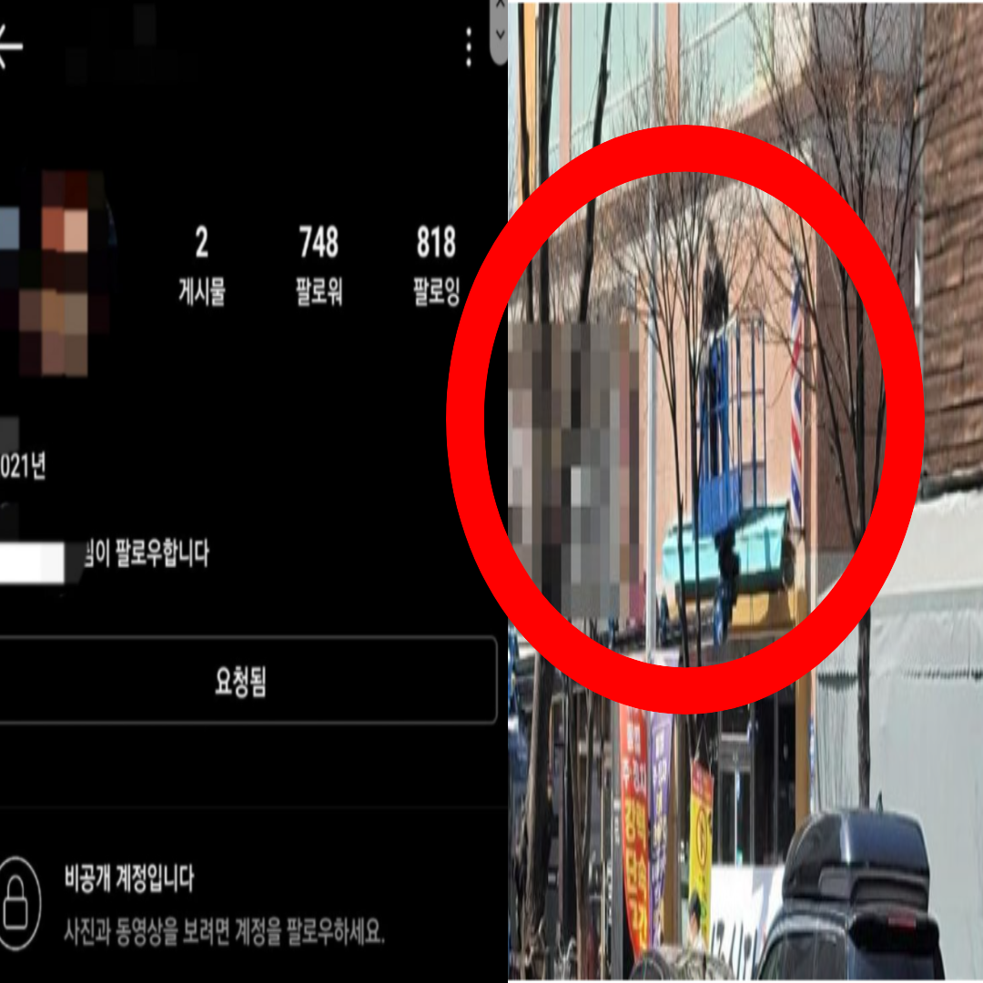 대구 성주식당 렉스턴 차주 아들 논란 가장 문제되는 부분(+현재상황 영상 인스타 신상)