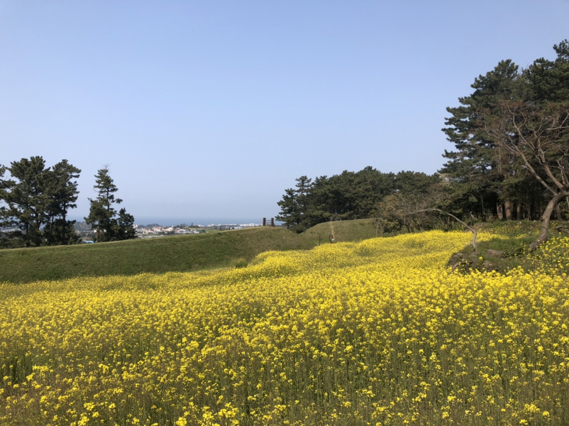 제주-항파두리-항몽-유적지