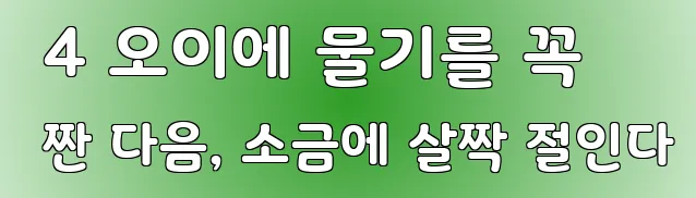  4 오이에 물기를 꼭 짠 다음, 소금에 살짝 절인다