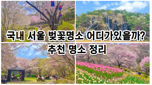 국내 서울 벚꽃명소 어디가있을까? 추천 명소 정리