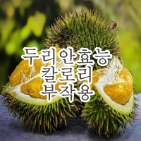 두리안