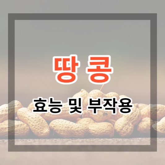  땅콩 효능 및 부작용 고소한 땅콩 건강하게 먹기