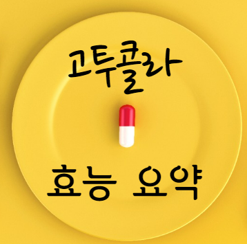 고투콜라 효능 요약