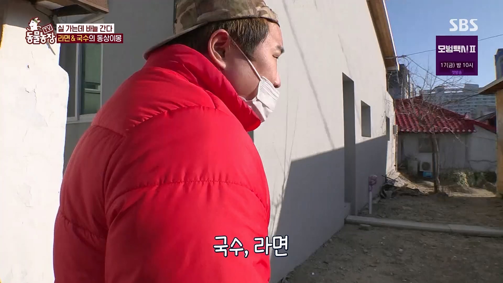 TV 동물농장.E1107.230205p.H264-F1RST.mp4_20230205_173946.589.jpg