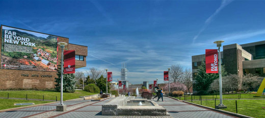 Stony brook university