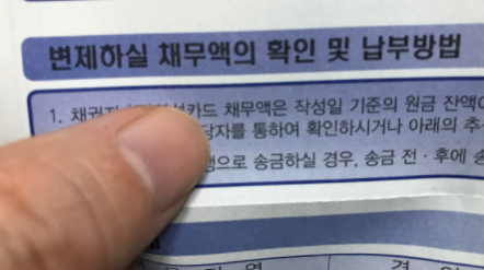 변제할 채무액 확인 및 납부 방법