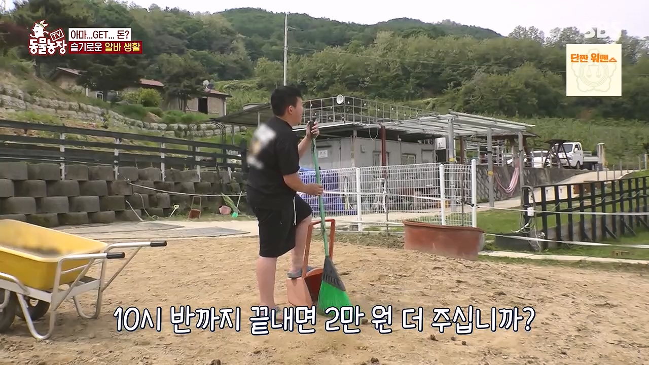 TV 동물농장.E1178.240630.ts_20240630_164641.950.jpg