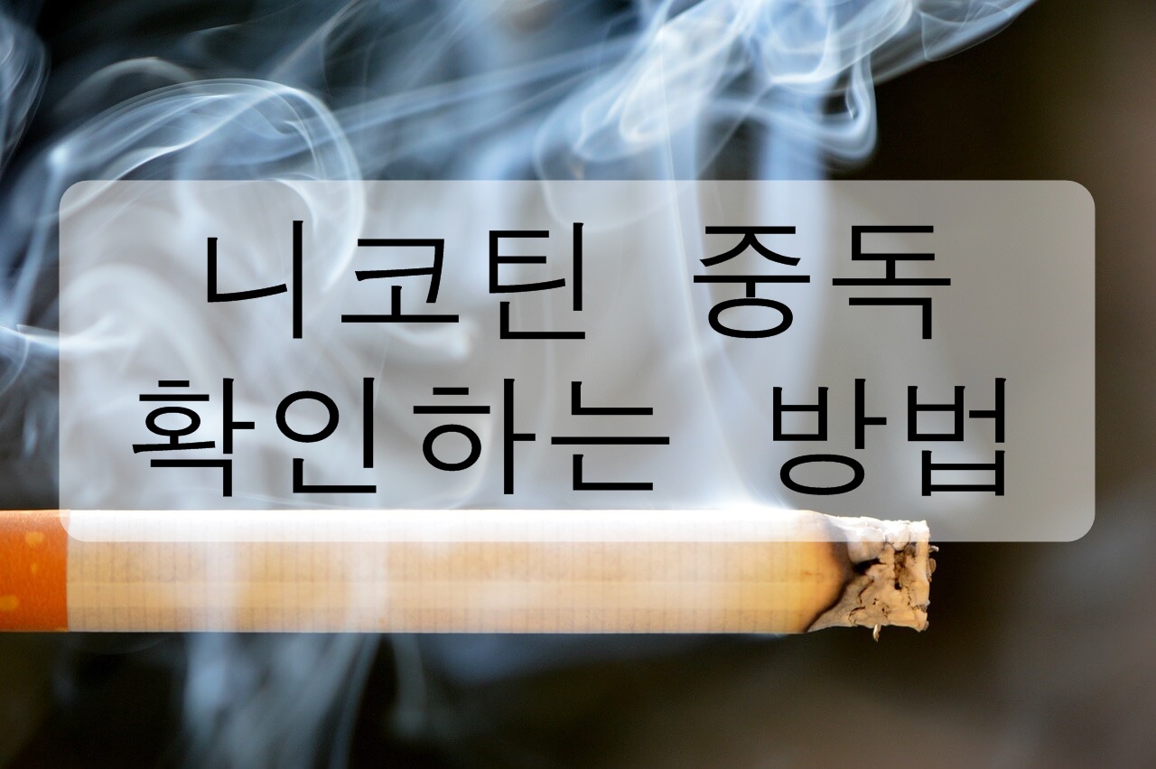  자신의 니코틴 중독을 체크해보자!