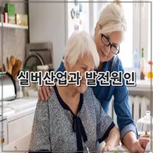 실버산업과 발전원인