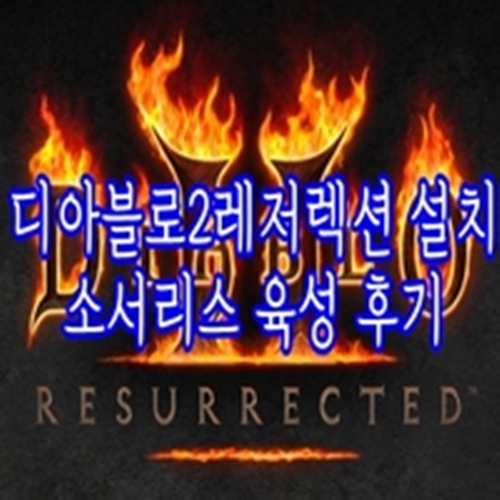  디아블로2레저렉션 설치 소서리스 육성 후기