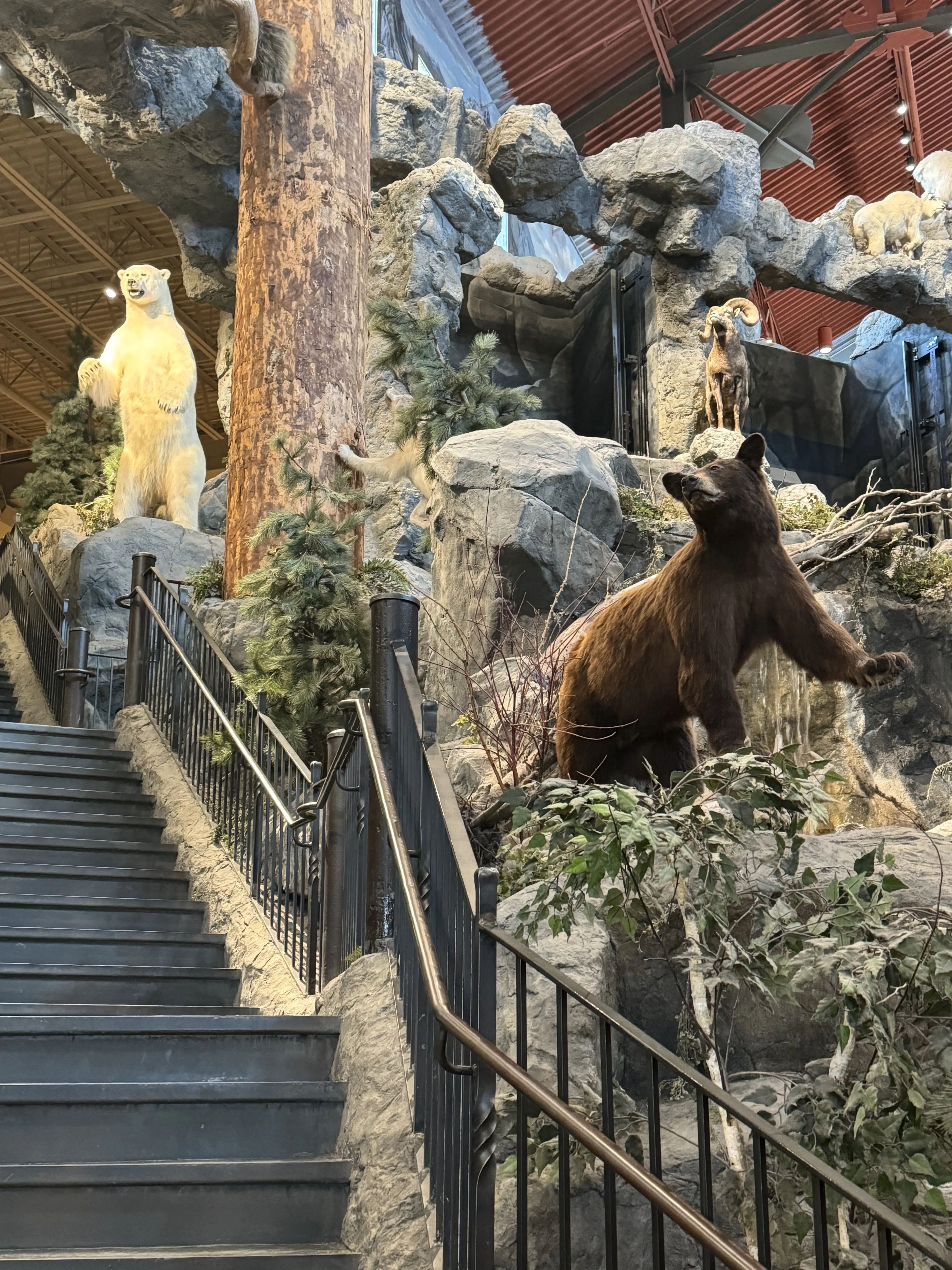 Bass Pro Shops 에 전시된 곰들