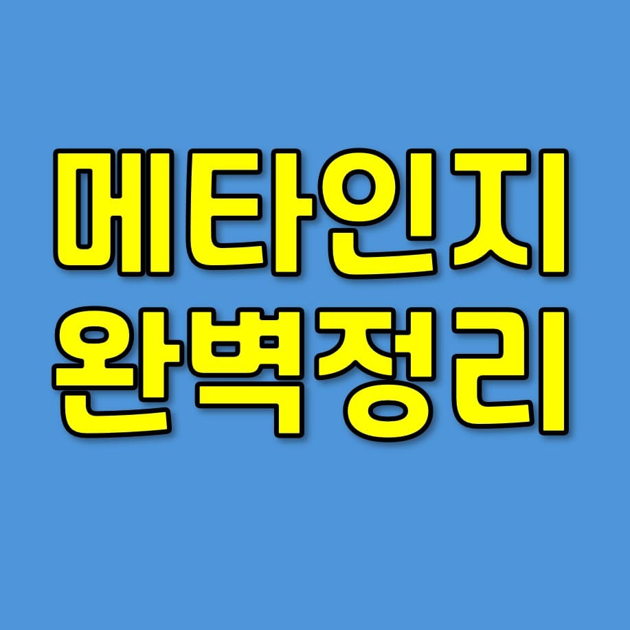 메타인지 뜻 테스트