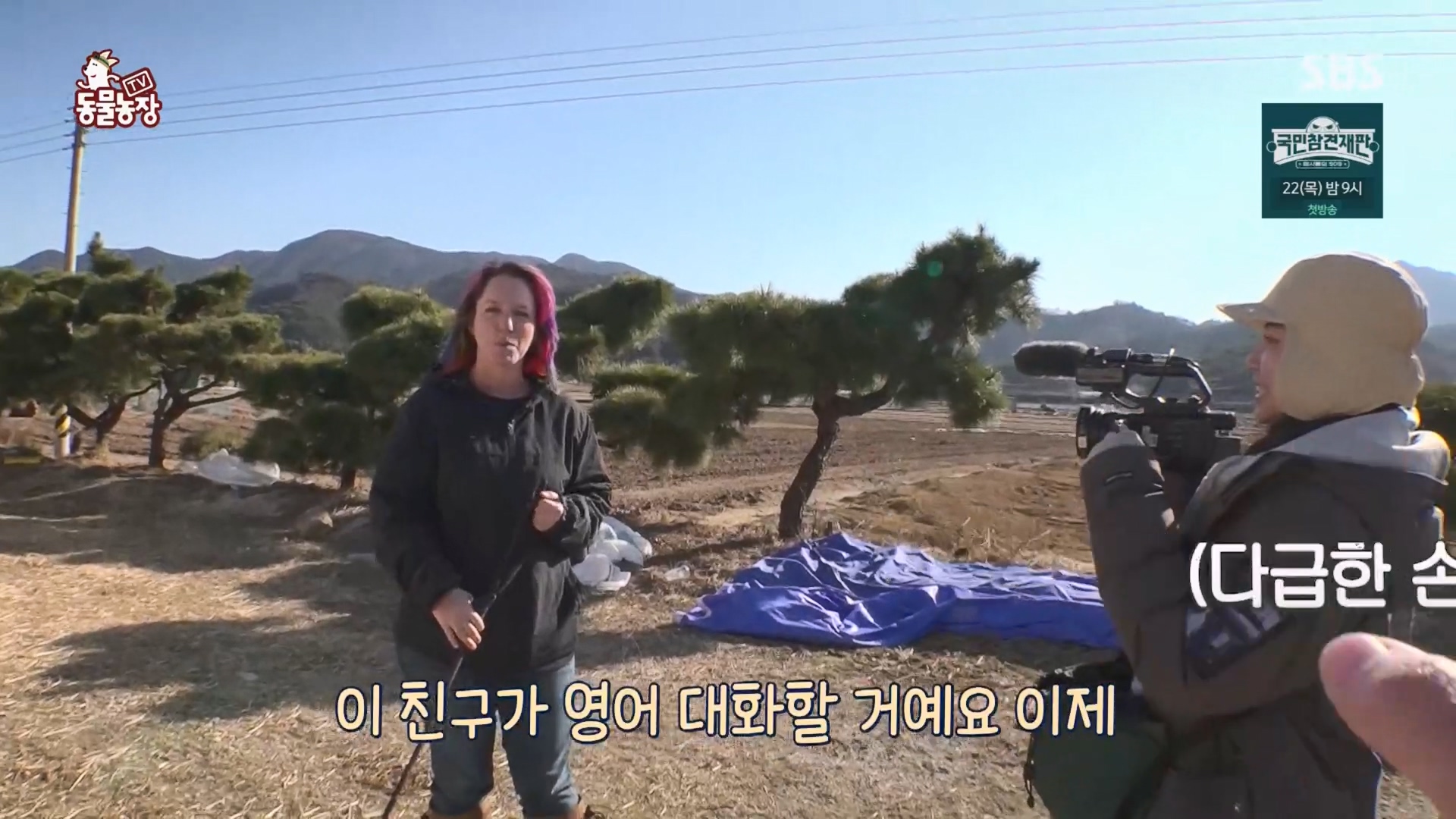 TV 동물농장.E1158.240211p.H264-F1RST.mp4_20240211_192015.199.jpg