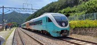 동해산타열차 시간표 예매가능한 날 가격_2