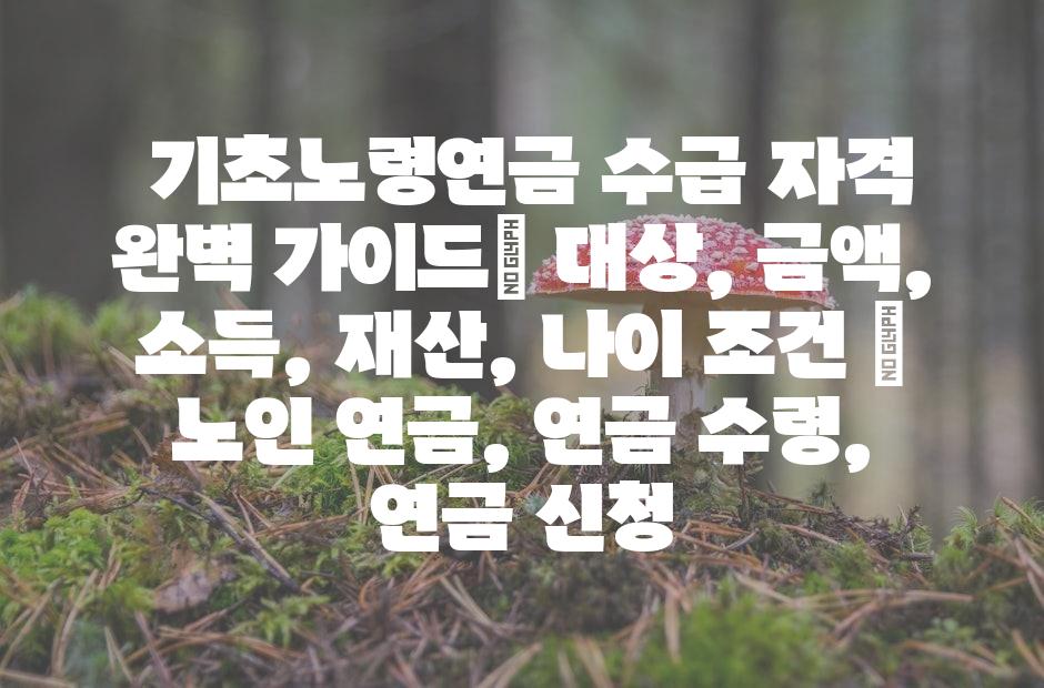 샘플 (42)