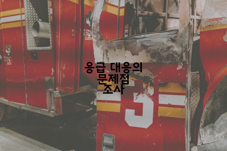 응급 대응의 문제점 조사