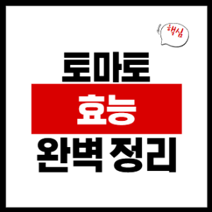 토마토 효능