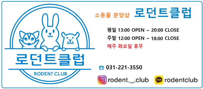 수명, 필수사항 알려드립니다. 골든햄스터 분양 및 14