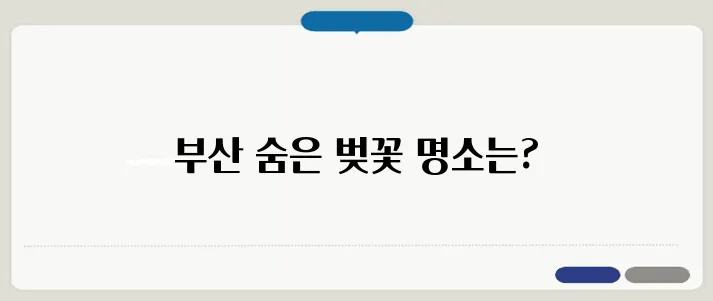 부산 벚꽃 명소 추천! 숨은 벚꽃 스팟 공개