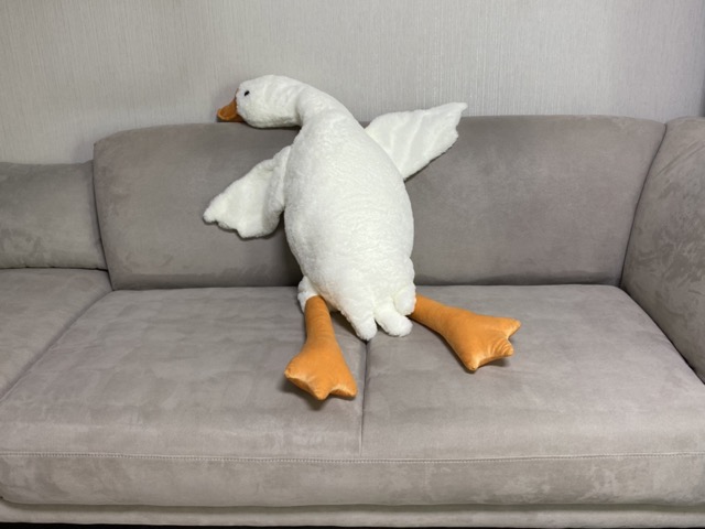 소파에 거대한 오리 인형