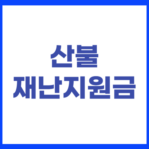 산불 재난지원금