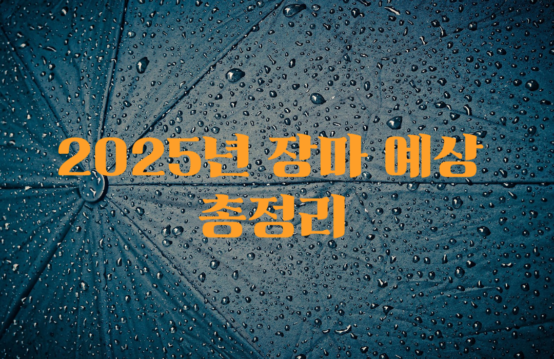 2025년 장마 예상 기간 및 장마 대비 총정리