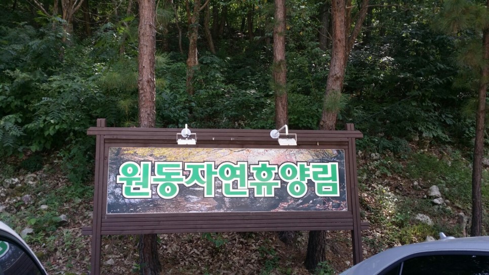 원동자연휴양림 이미지