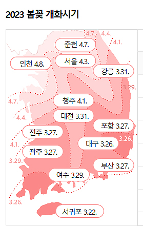 벚꽃 만개시기 2023