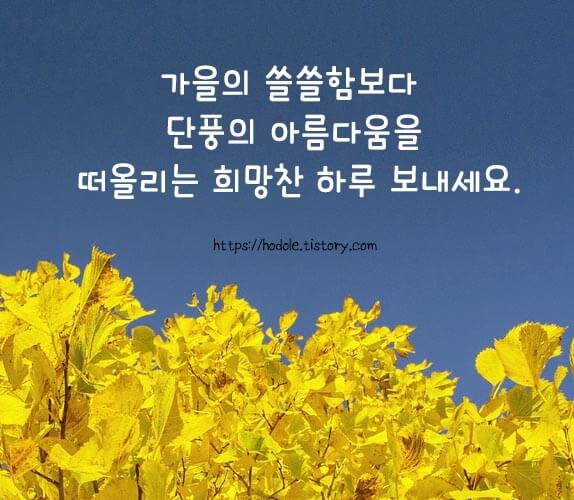 희망찬-하루