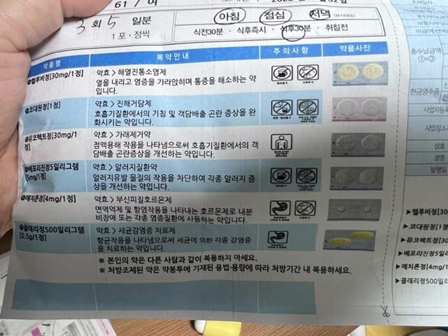 코로나 약 처방 내역