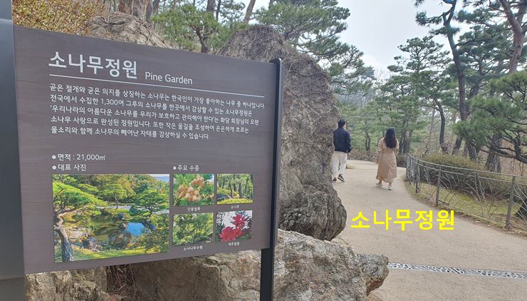 소나무정원