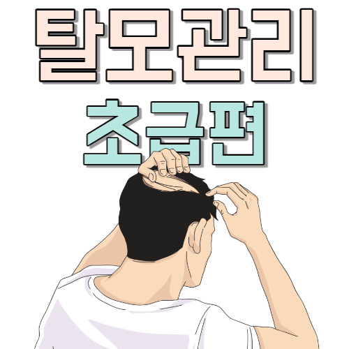  탈모 시작 초기 발견 치료 희망적 기초 탈모 관리만 잘해도