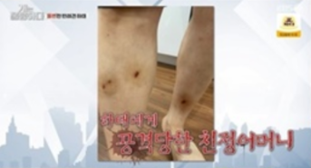 하태 시바견 개는 훌륭하다 고민견 하태 시바견강형욱 13개월 아기와