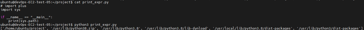 print_expr.py의 sys.path